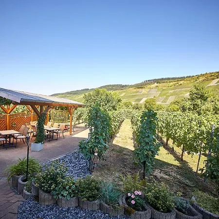 Haus Schatzgarten * Traben-Trarbach